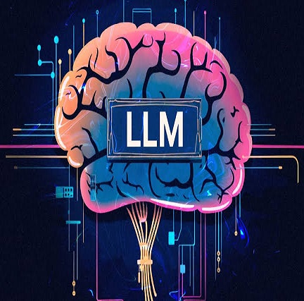 LLM