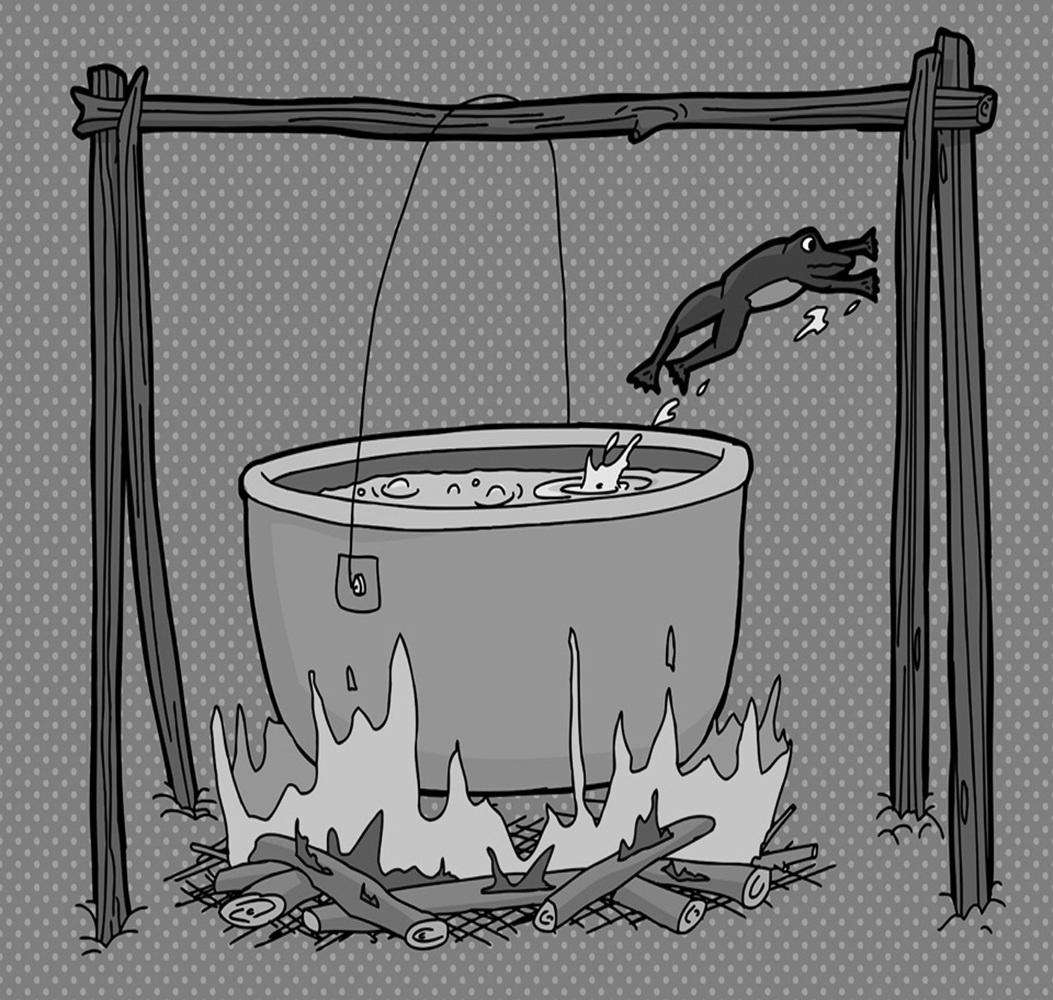 Boiling Frog Syndrome