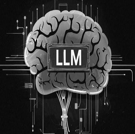 LLM