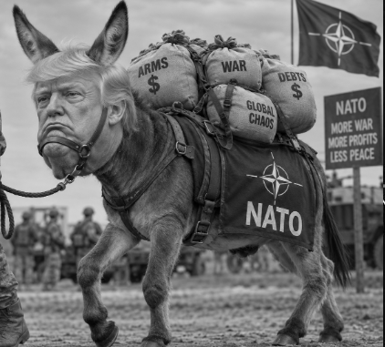 nato